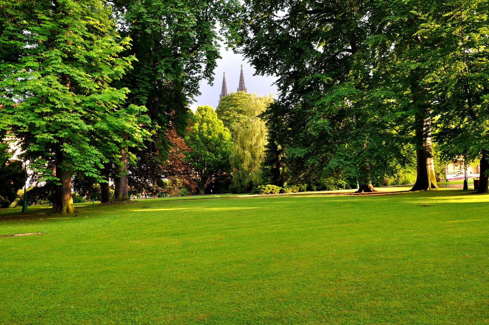 arbres entretien
