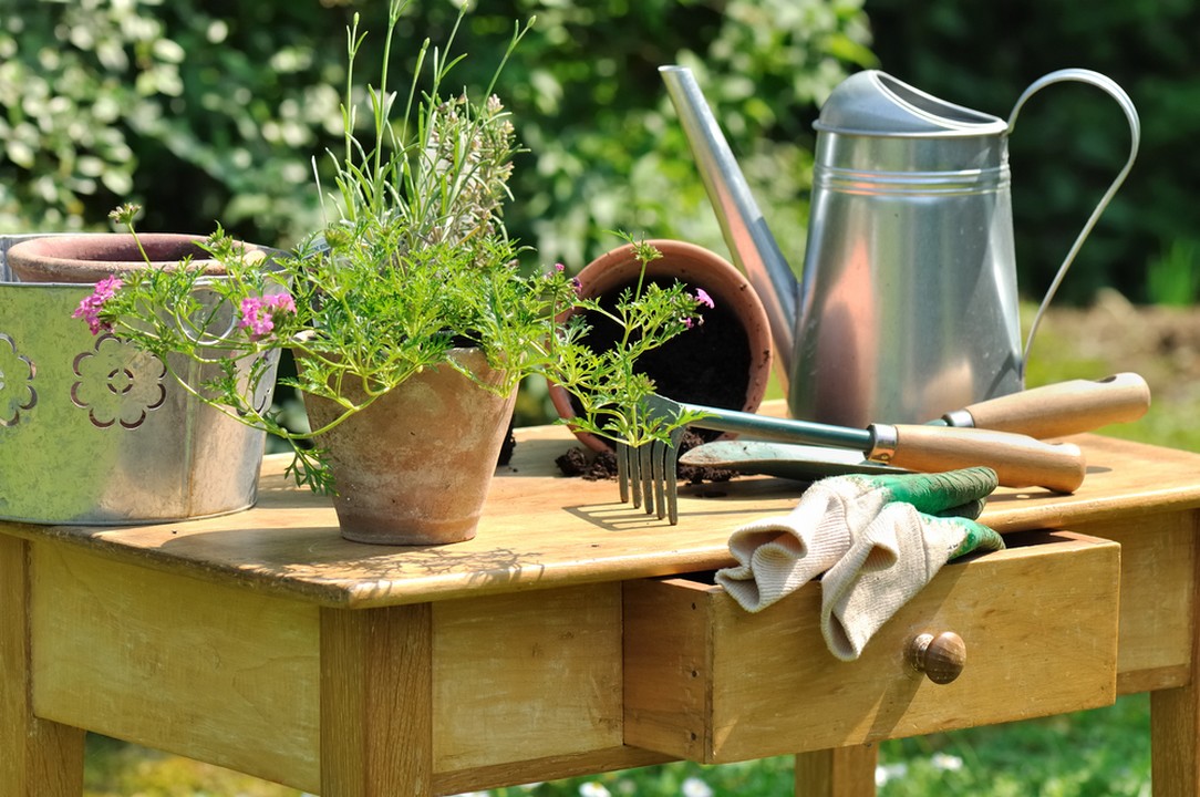 cultiver selon saisons