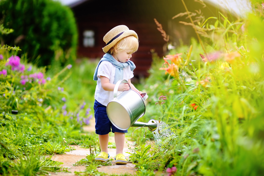 entretien jardin privé