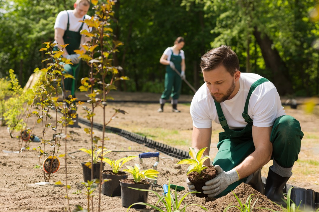 entretien jardin public