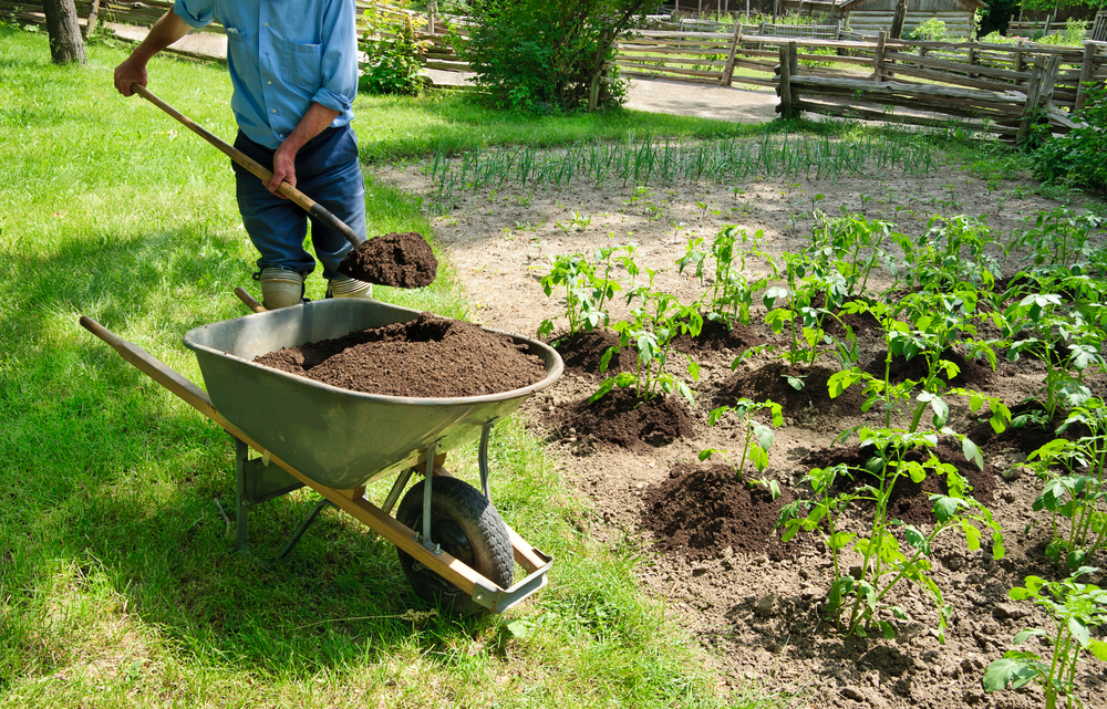 entretien potager
