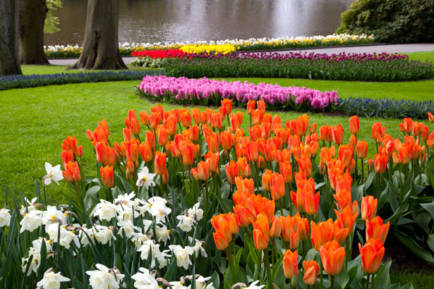 jardin public embellissement