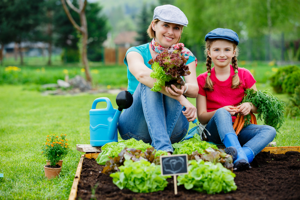 potager méthodes entretien